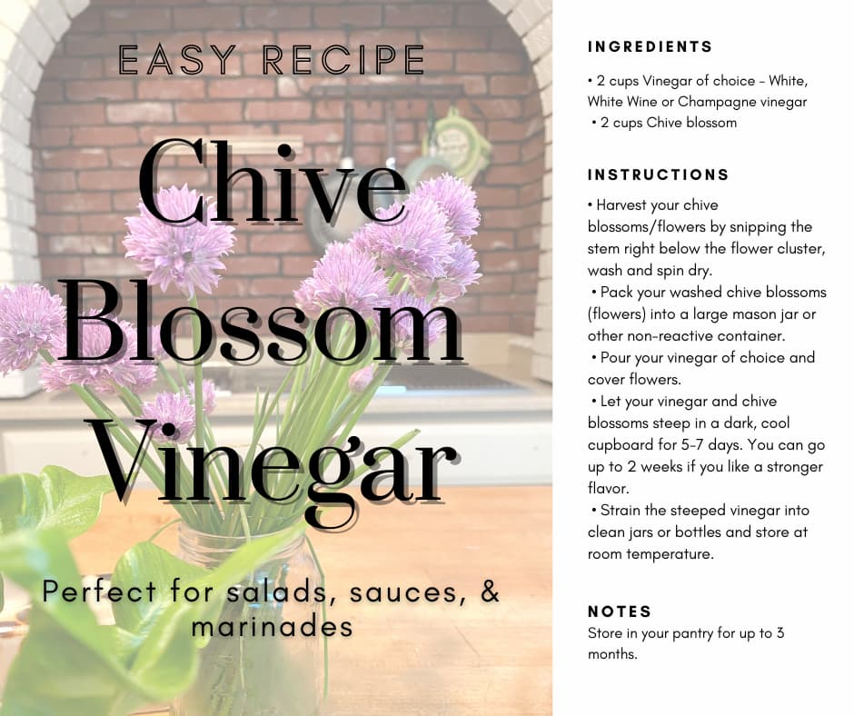 Easy Recipe Chives sized