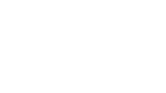 EverProven Training and CrossFit light logo