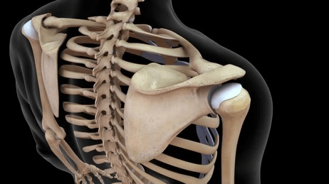 shoulder blade of a crossfit athlete